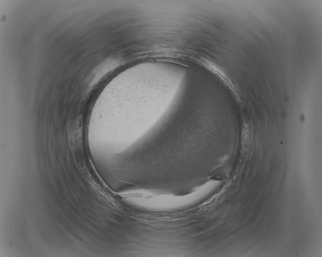 X0000083631450200703051623