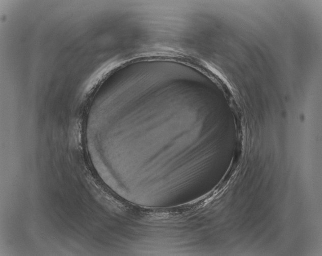 X0000083631455200703051622