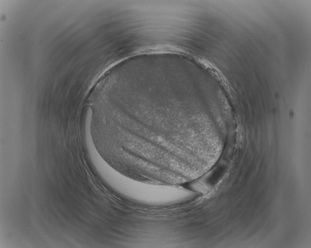 X0000083631457200703051622