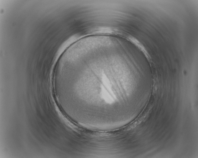 X0000083631475200703051622
