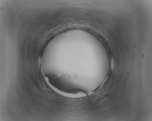 X0000083631492200703051621
