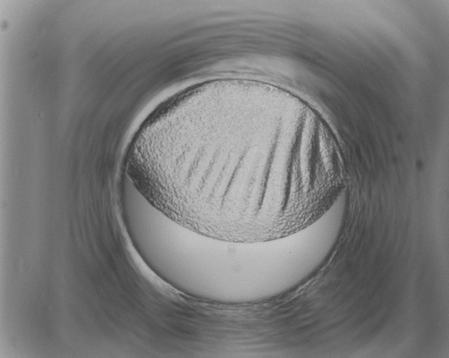 X0000083631531200703051622