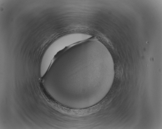 X0000083630027200703121705