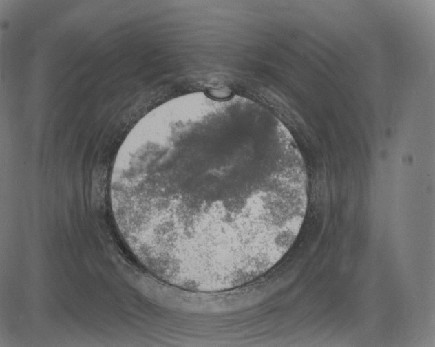 X0000083630030200703121705