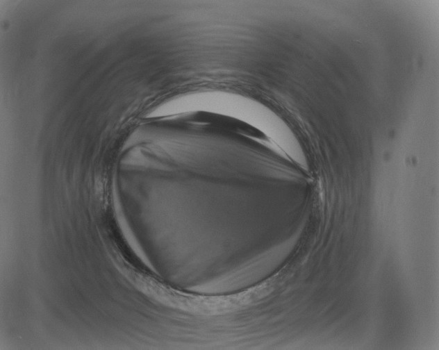 X0000083630031200703121705