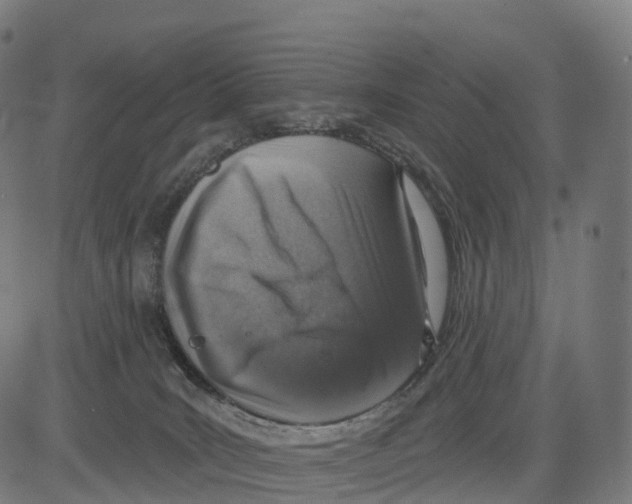 X0000083630035200703121705