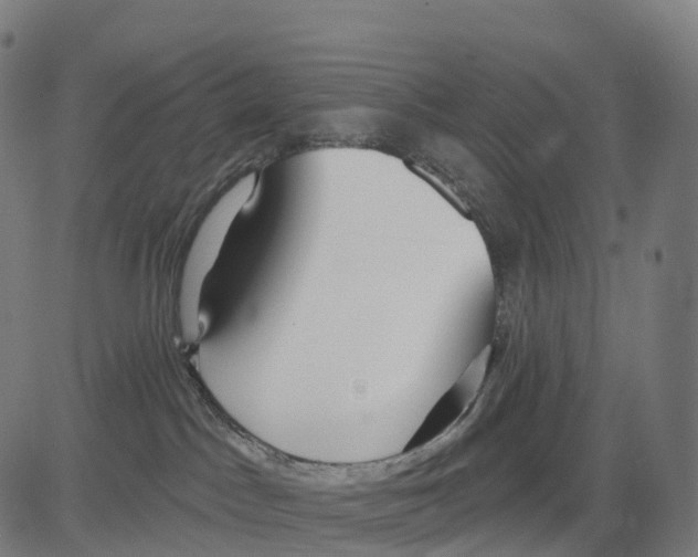 X0000083630045200703121705