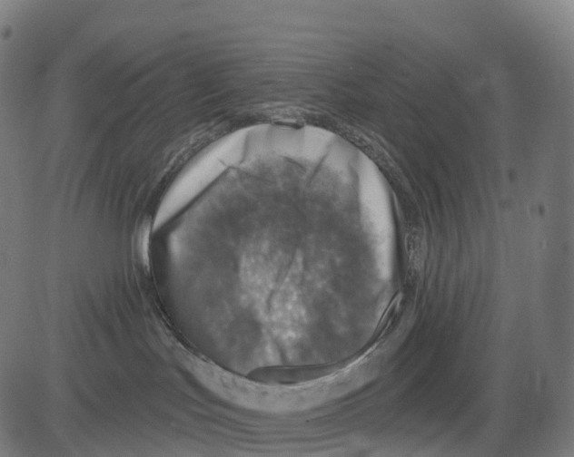 X0000083630047200703121705