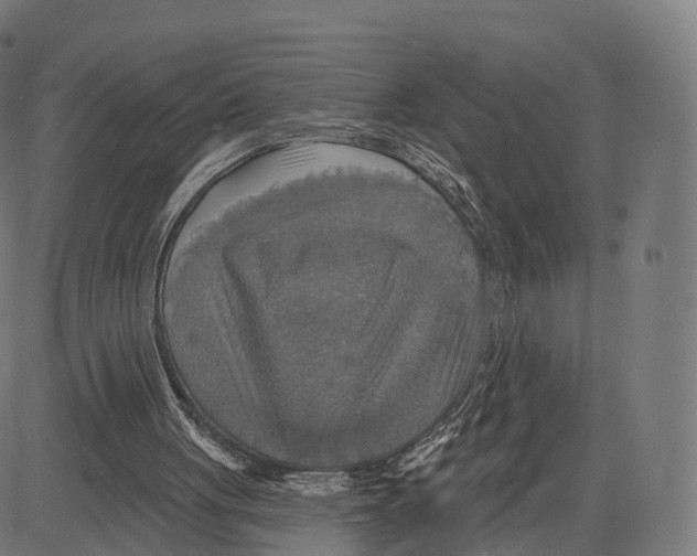 X0000083630051200703121704