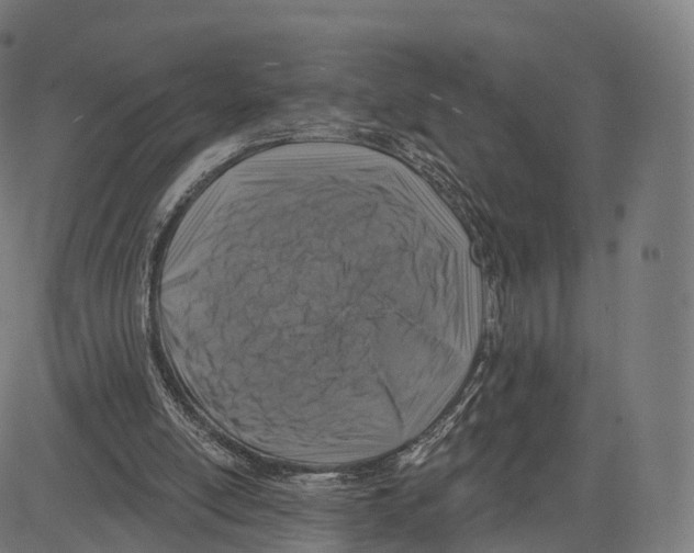 X0000083630054200703121704
