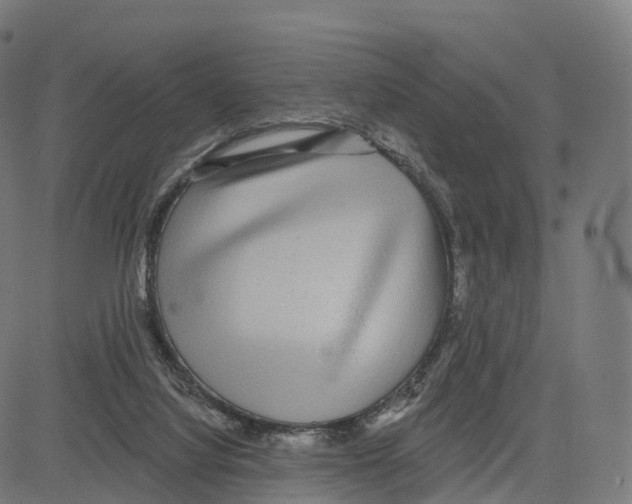 X0000083630068200703121705