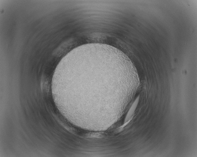 X0000083630086200703121705