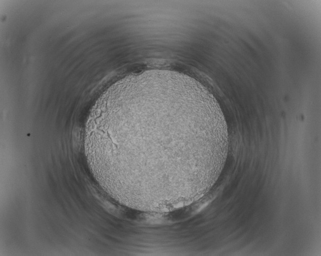 X0000083630093200703121705