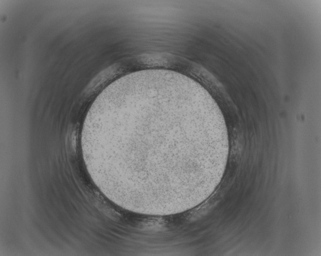 X0000083630124200703121704