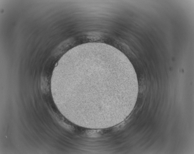 X0000083630136200703121704