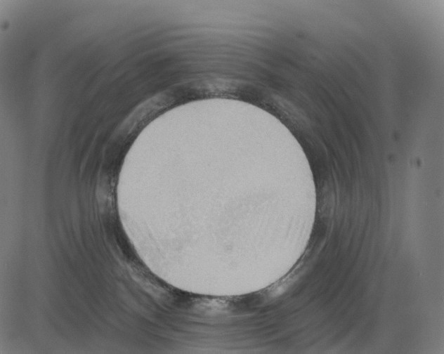 X0000083630140200703121703