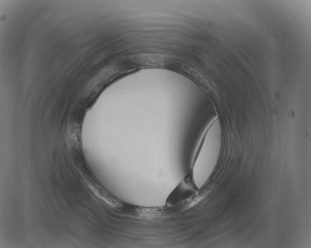 X0000083630141200703121703