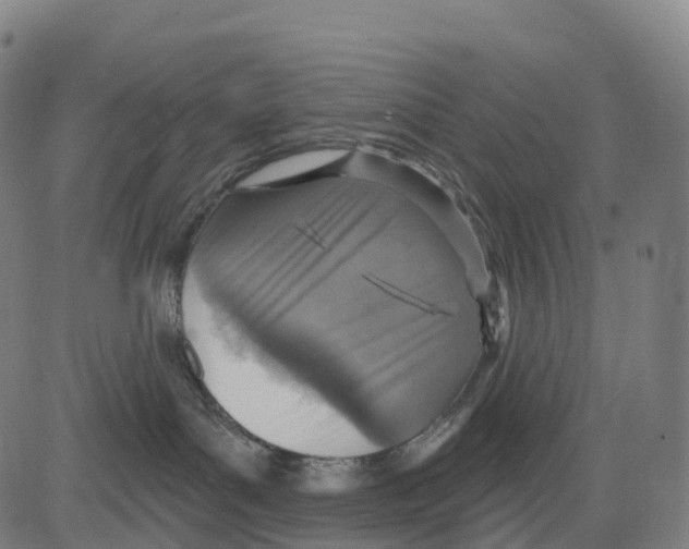 X0000083630143200703121703
