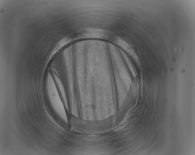 X0000083630156200703121703