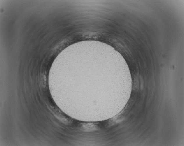 X0000083630183200703121703