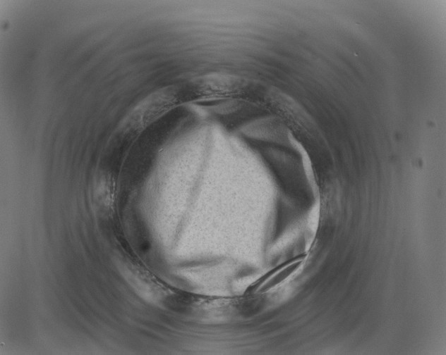 X0000083630186200703121703