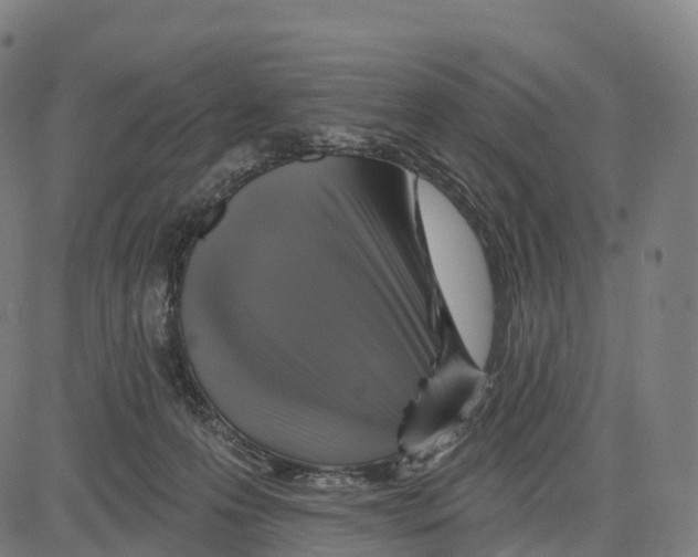 X0000083630223200703121702