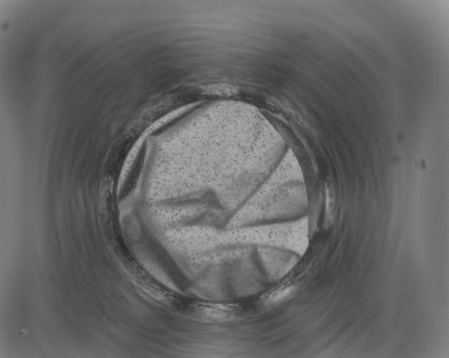 X0000083630229200703121702