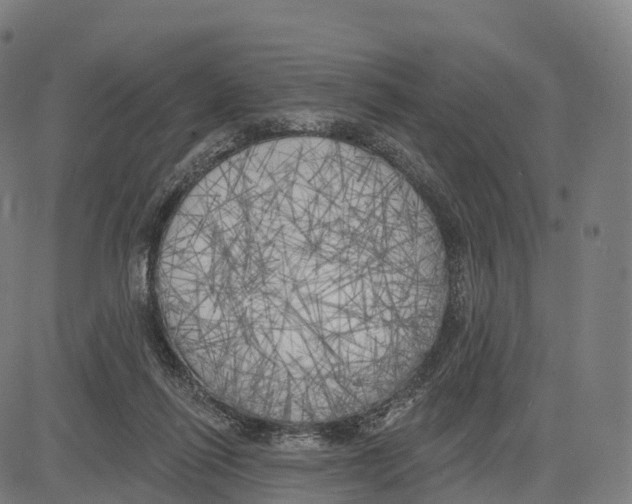 X0000083630262200703121701