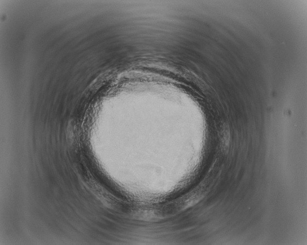 X0000083630276200703121702