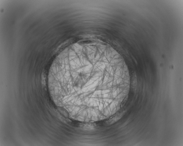 X0000083630282200703121702