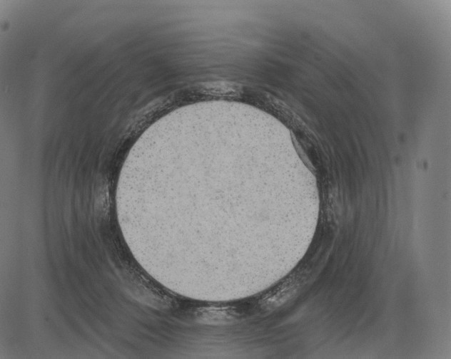 X0000083630320200703121700