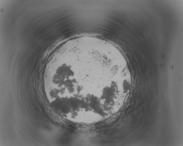 X0000083630337200703121659