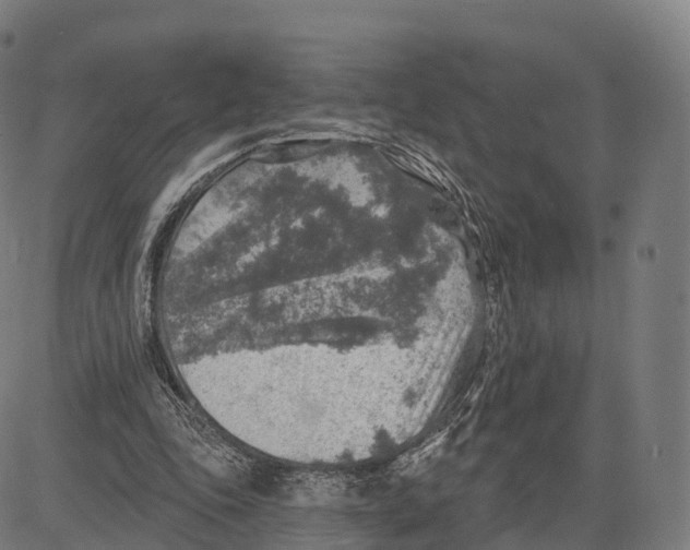 X0000083630343200703121700