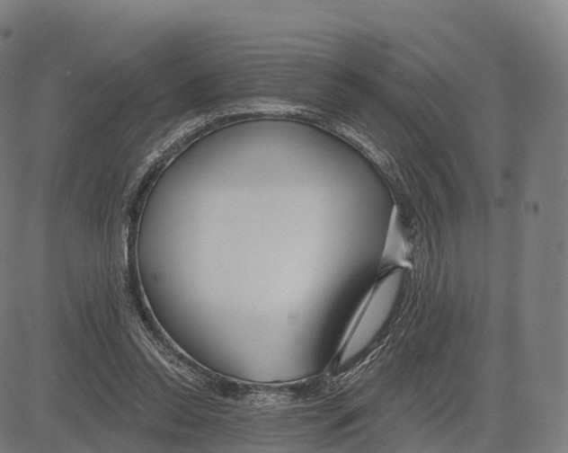 X0000083630350200703121700
