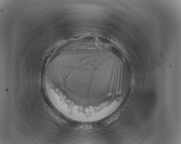 X0000083630353200703121700