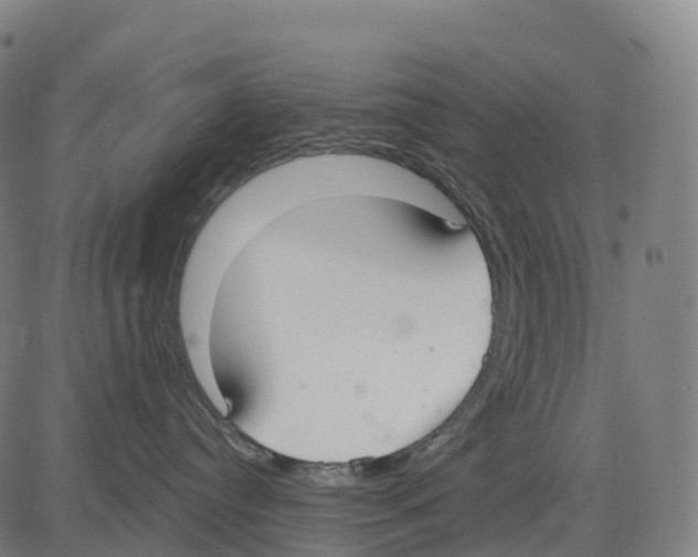 X0000083630384200703121700