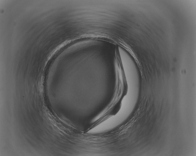 X0000083630387200703121659