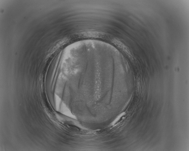 X0000083630398200703121659
