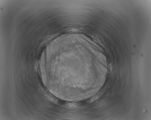 X0000083630423200703121659