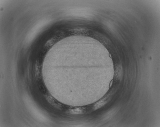 X0000083630430200703121659