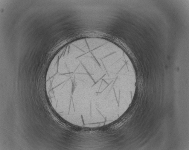X0000083630433200703121658