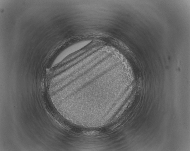 X0000083630452200703121658