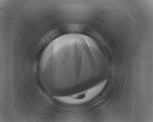 X0000083630458200703121658