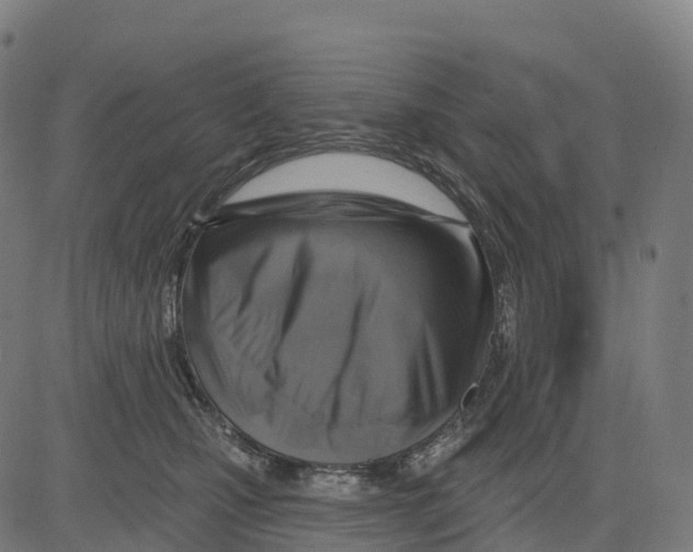 X0000083630471200703121658