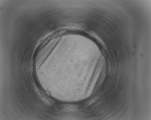X0000083630486200703121658