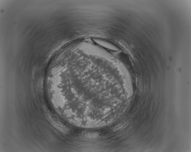 X0000083630491200703121658