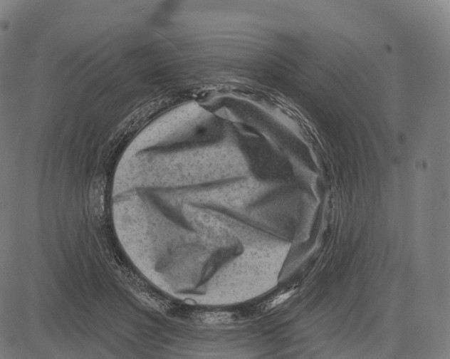 X0000083630501200703121657
