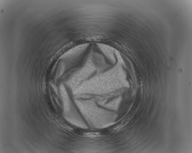 X0000083630508200703121657