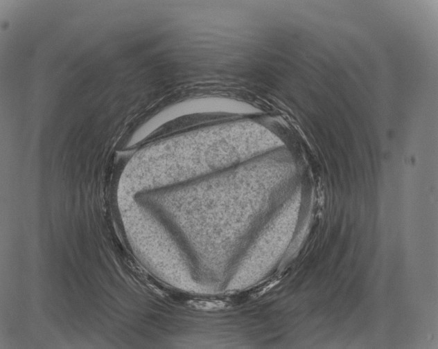 X0000083630512200703121657