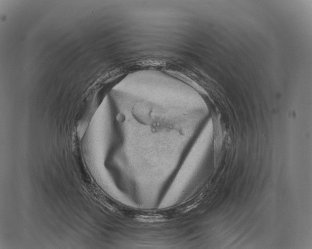 X0000083630556200703121657